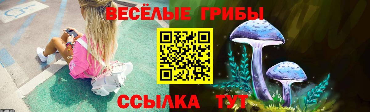 Псилоцибиновые грибы GOLDEN TEACHER  сколько стоит  Тайшет  Вход с VPN 